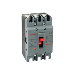 INTERRUPTOR CAJA MOLDEADA  INDUSTRIAL 100 A  STECK